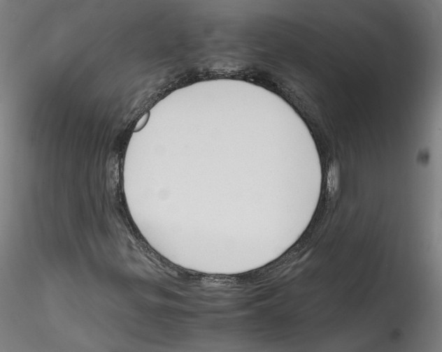 X0000114601299200911301413