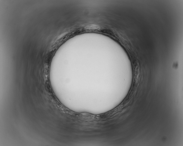 X0000114601301200911301413