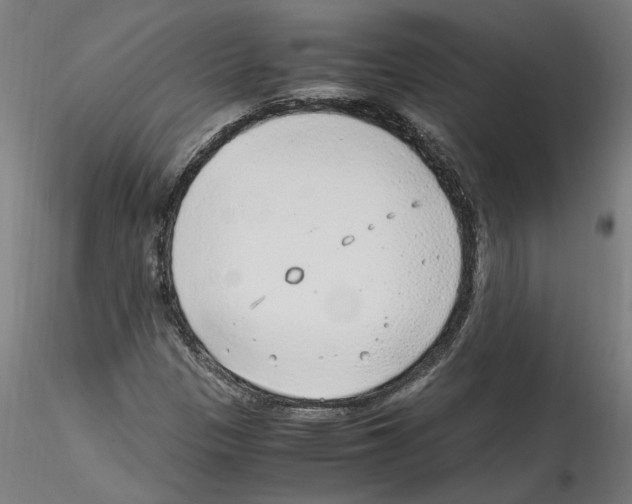 X0000114601305200911301413