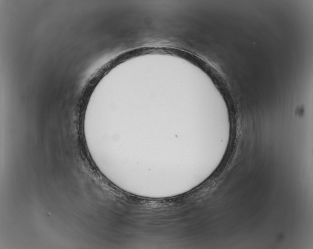 X0000114601311200911301414