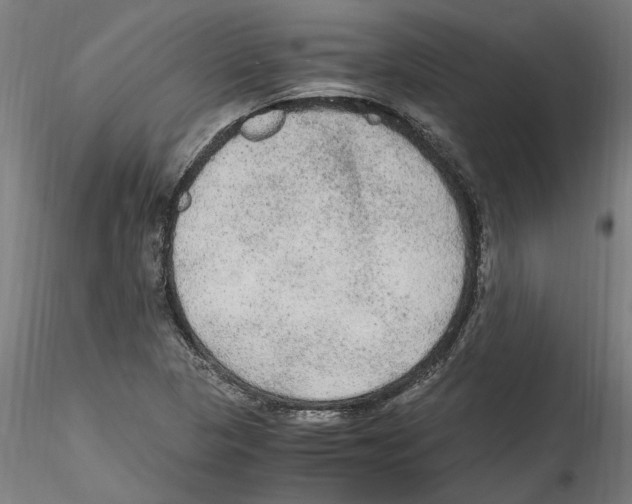 X0000114601313200911301414