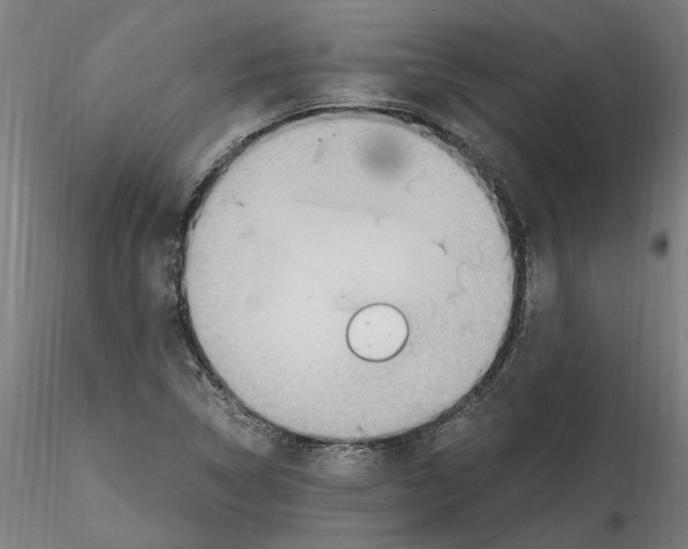 X0000114601314200911301414