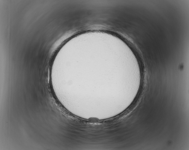 X0000114601317200911301414