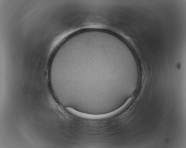 X0000114601319200911301414