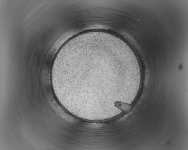 X0000114601321200911301414