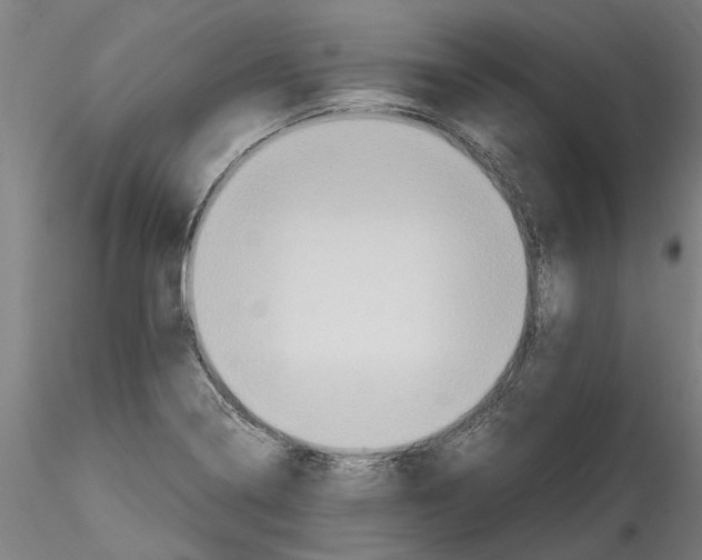 X0000114601322200911301414