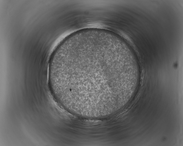 X0000114601323200911301414