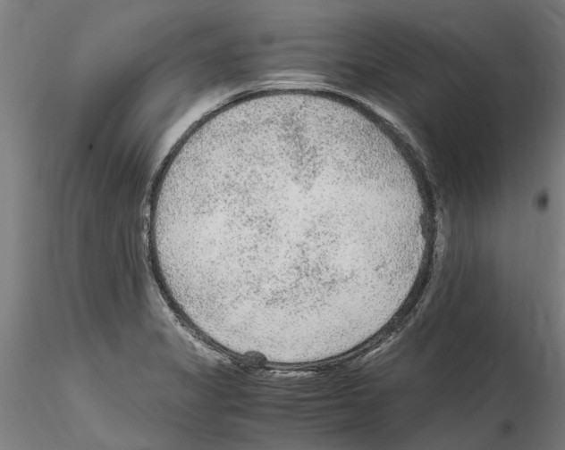 X0000114601325200911301414