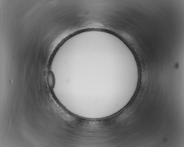 X0000114601326200911301414