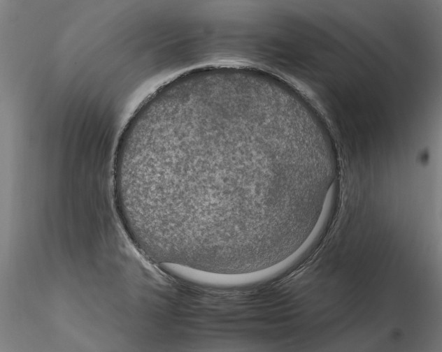 X0000114601327200911301414