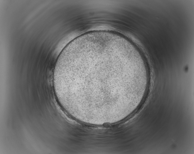 X0000114601329200911301414