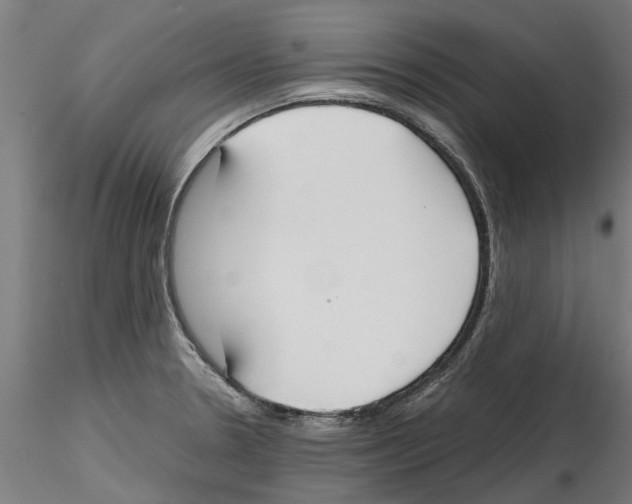 X0000114601330200911301414