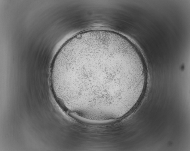 X0000114601333200911301414