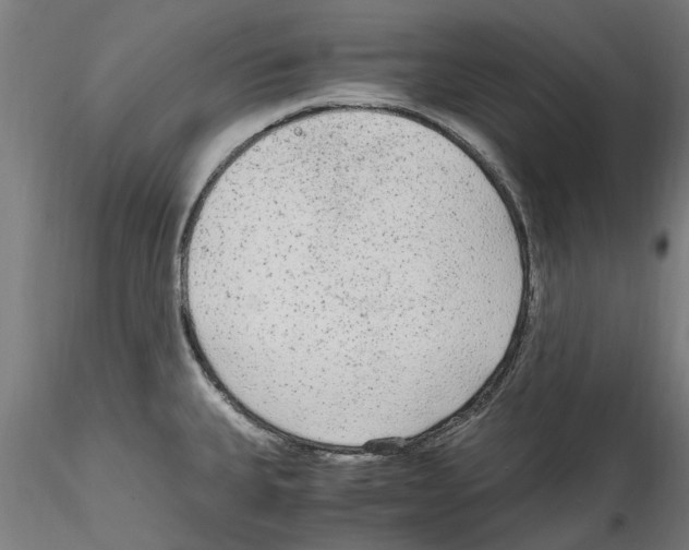 X0000114601335200911301414