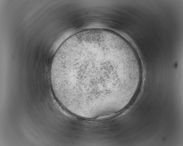 X0000114601337200911301414