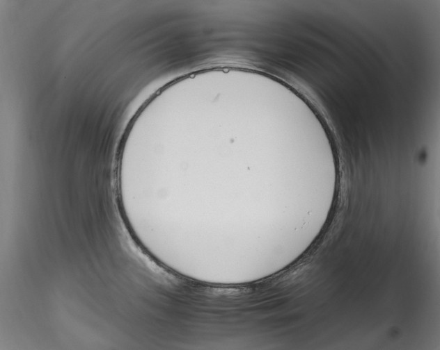 X0000114601339200911301414