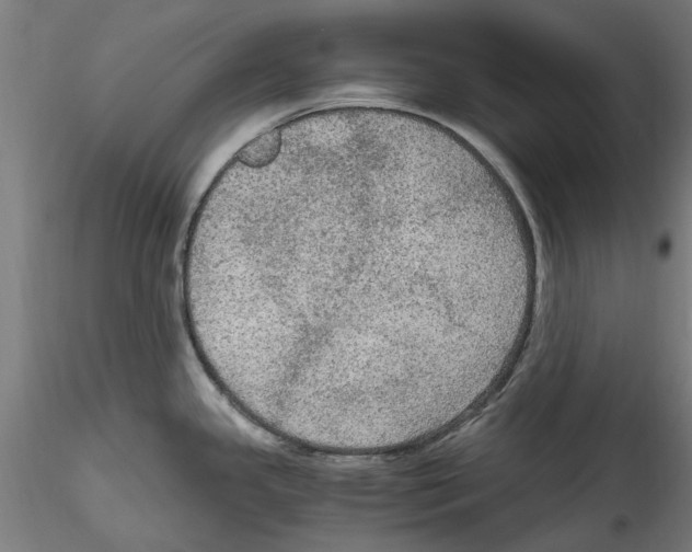 X0000114601341200911301414