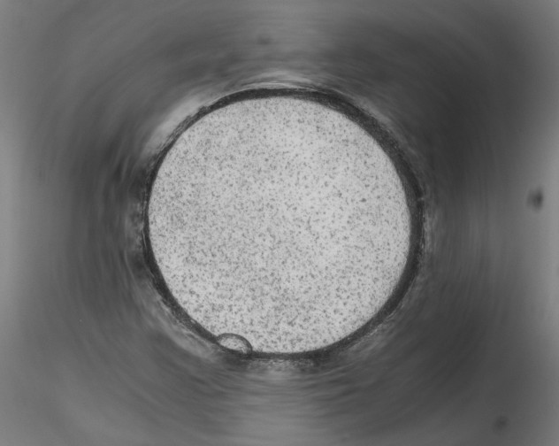 X0000114601355200911301413