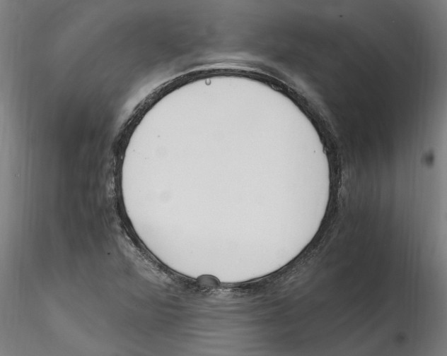 X0000114601360200911301413