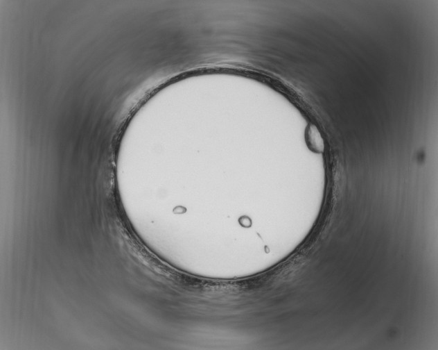 X0000114601363200911301413