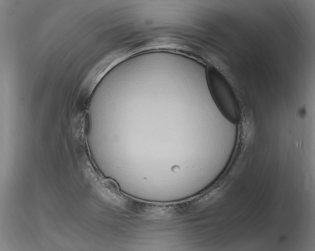 X0000114601369200911301413