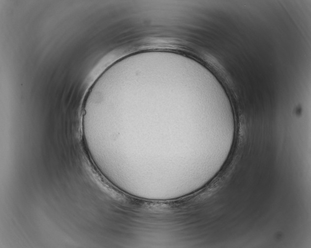 X0000114601370200911301413