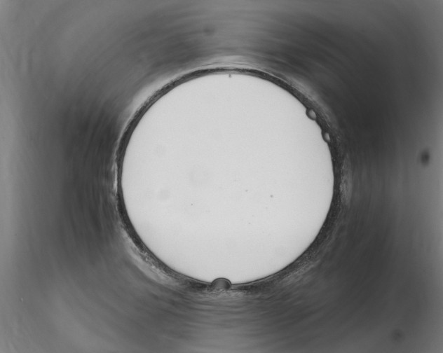 X0000114601372200911301413