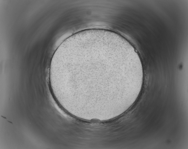 X0000114601383200911301413