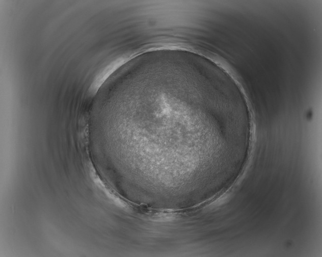 X0000114601385200911301413