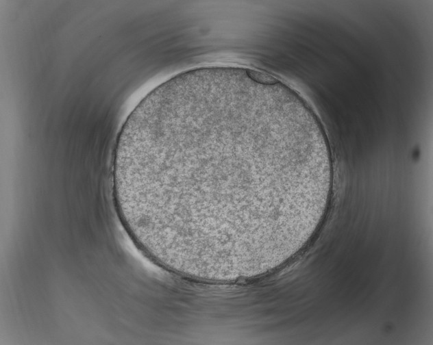 X0000114601387200911301413