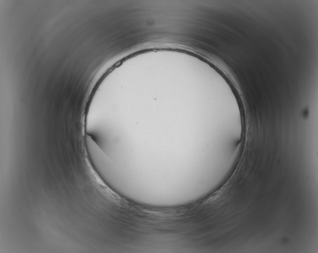 X0000114601388200911301413