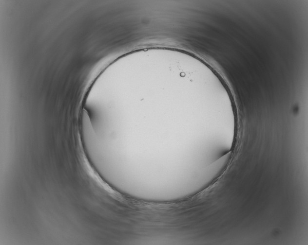 X0000114601389200911301413