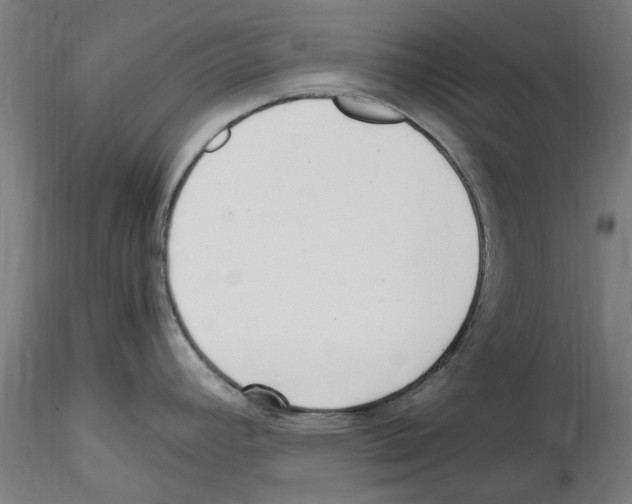 X0000114601392200911301413