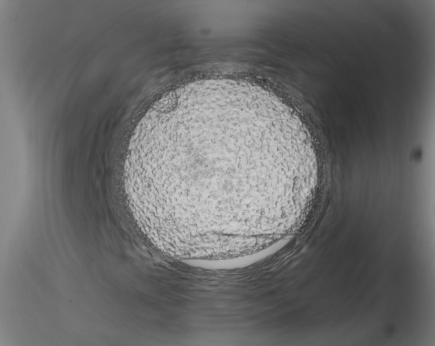 X0000114601393200911301412