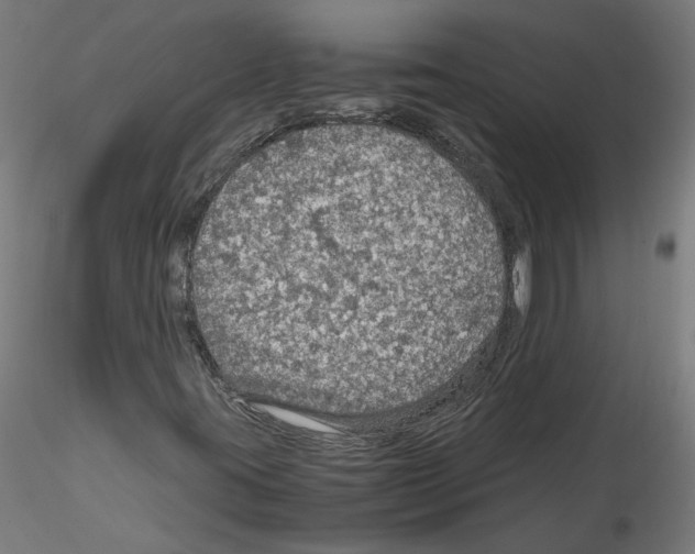 X0000114601395200911301412