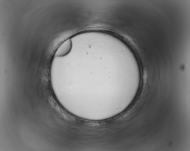 X0000114601405200911301412