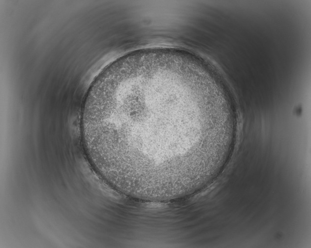 X0000114601409200911301412