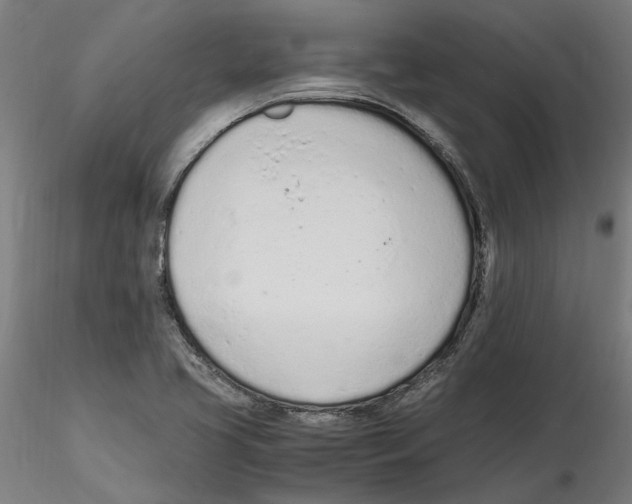 X0000114601413200911301412