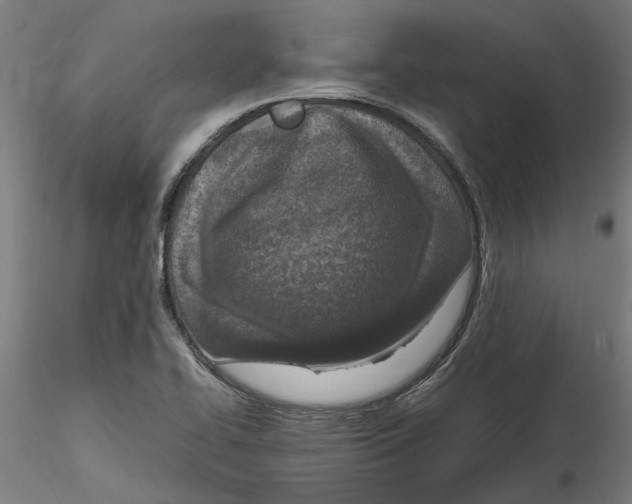 X0000114601414200911301412