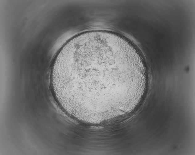 X0000114601415200911301412