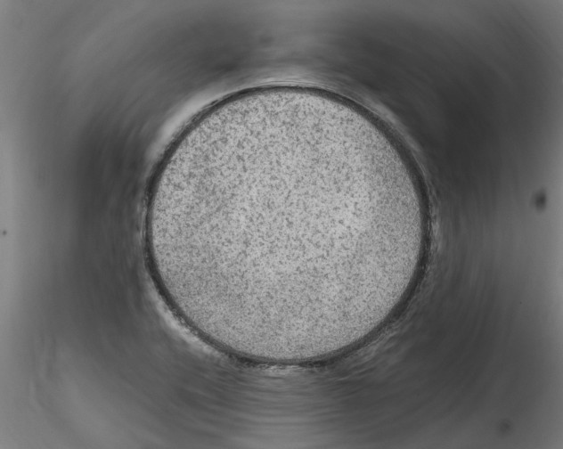 X0000114601416200911301412