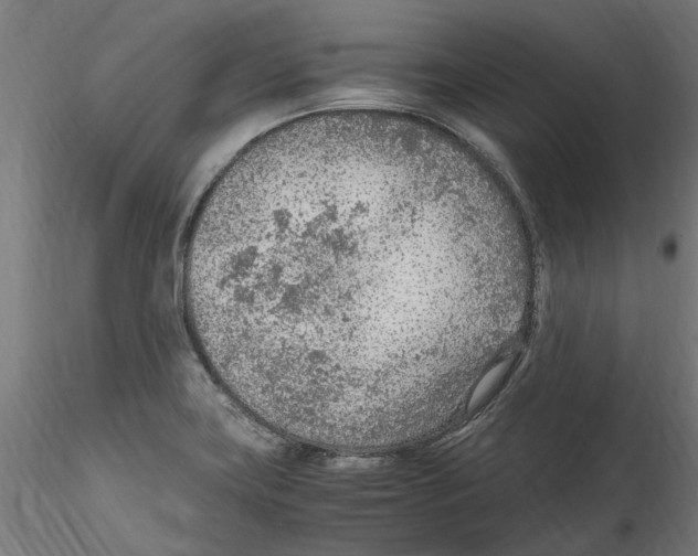 X0000114601419200911301412