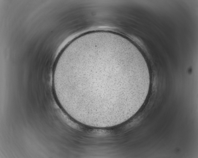 X0000114601420200911301412