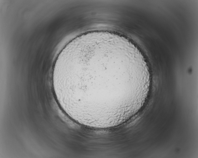 X0000114601421200911301412