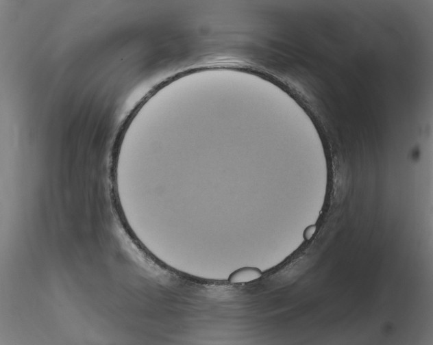 X0000114601422200911301412