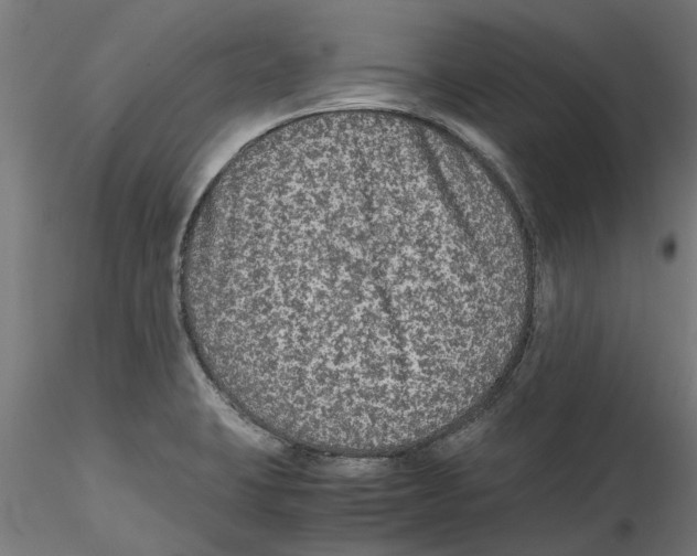 X0000114601423200911301412