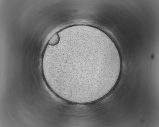 X0000114601424200911301412