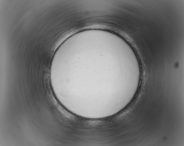 X0000114601425200911301412