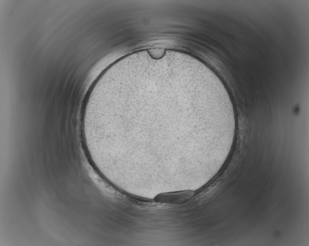 X0000114601426200911301412