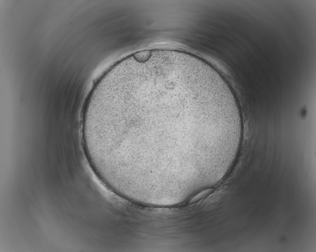 X0000114601430200911301413